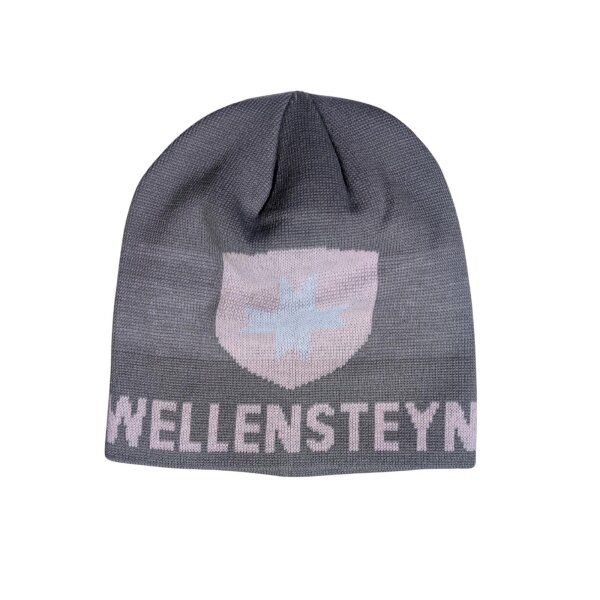 Wellensteyn Mütze Promo Hat, grau/rosé
