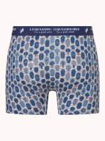A Fish Named Fred Short "Manga Lantern" Doppelpack Blau gemustert
