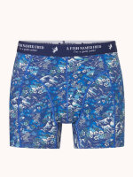 A Fish Named Fred Short "Fuji dream Japanese...