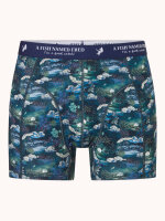 A Fish Named Fred Short "Fuji dream Japanese Story" Doppelpack Blau grün gemustert