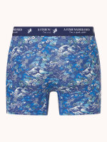 A Fish Named Fred Short "Fuji dream Japanese Story" Doppelpack Blau grün gemustert