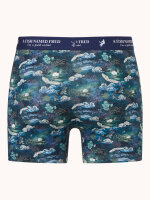 A Fish Named Fred Short "Fuji dream Japanese Story" Doppelpack Blau grün gemustert
